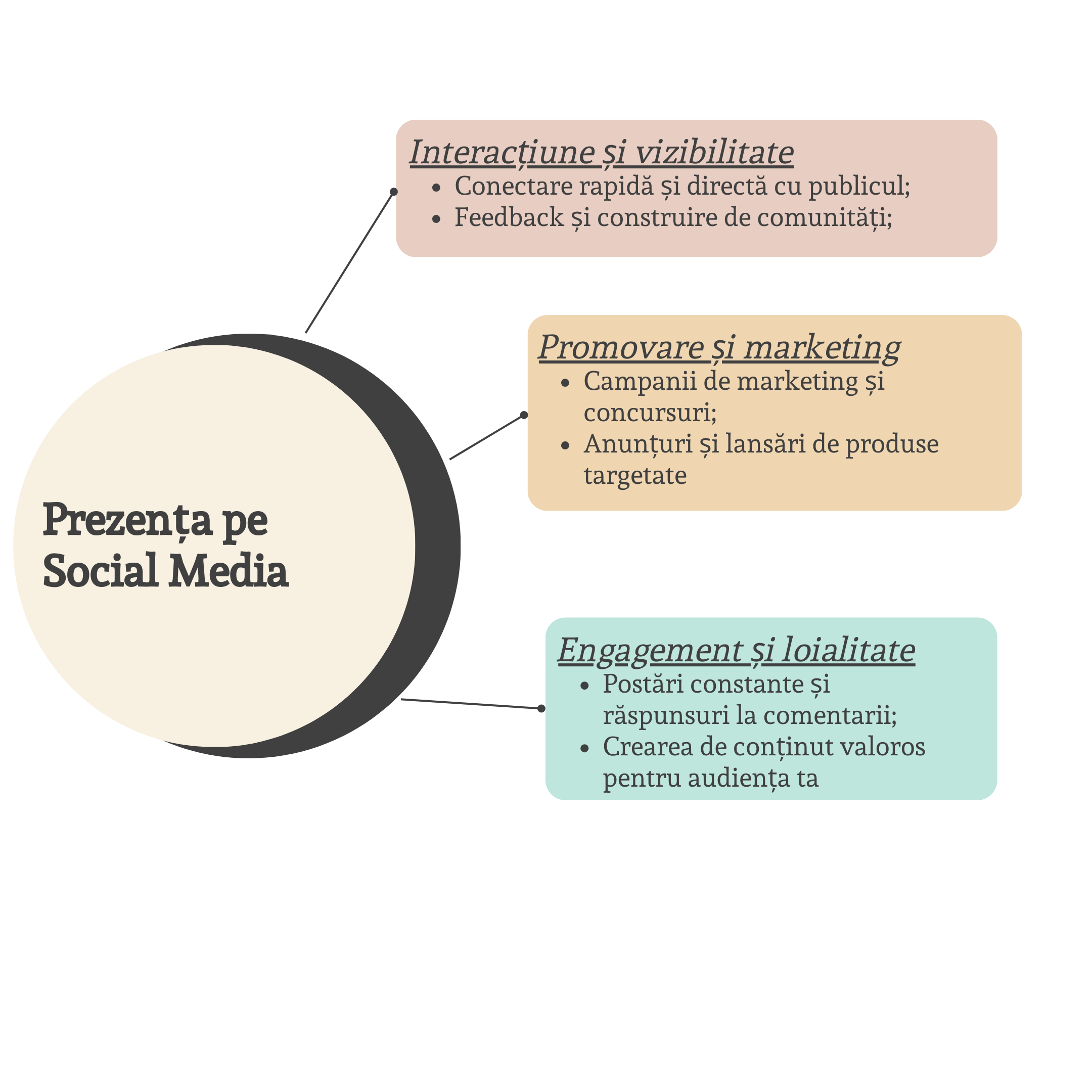 Website vs Social Media – Ce este mai bine pentru afacerea mea? 2 Did You Know 7